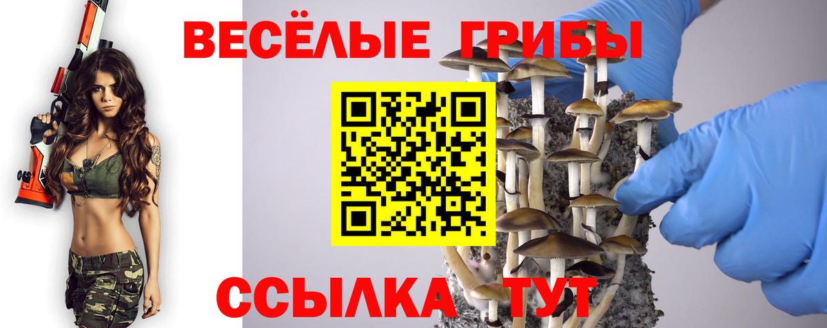 Псилоцибиновые грибы Cubensis  Псилоцибиновые грибы MAGIC MUSHROOMS  Трёхгорный  Вход с VPN 